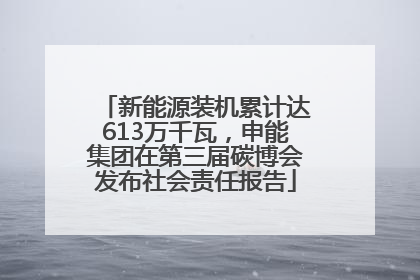新能源装机累计达613万千瓦，申能集团在第三届碳博会发布社会责任报告