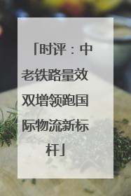 时评：中老铁路量效双增领跑国际物流新标杆