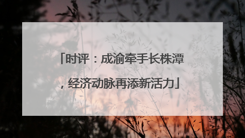 时评：成渝牵手长株潭，经济动脉再添新活力