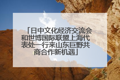 日中文化经济交流会和世博国际联盟上海代表处一行来山东巨野共商合作新机遇