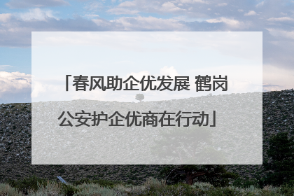 春风助企优发展 鹤岗公安护企优商在行动