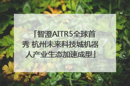 智澄AITR5全球首秀 杭州未来科技城机器人产业生态加速成型