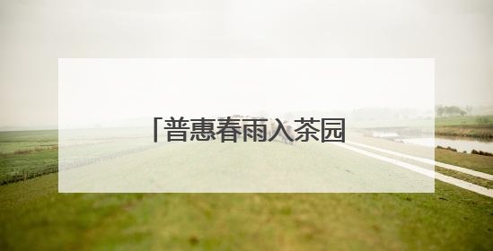 普惠春雨入茶园 润出“湘”茶高质量致富路