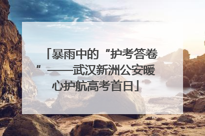 暴雨中的“护考答卷”——武汉新洲公安暖心护航高考首日