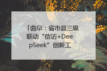 曲阜：省市县三级联动“信访+DeepSeek”创新工作新闻发布会举行