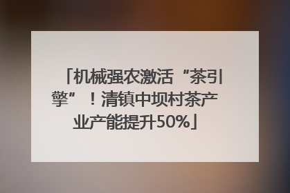 机械强农激活“茶引擎”！清镇中坝村茶产业产能提升50%