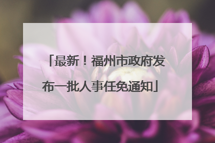 最新！福州市政府发布一批人事任免通知