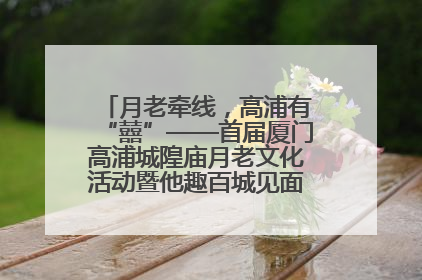 月老牵线，高浦有“囍”——首届厦门高浦城隍庙月老文化活动暨他趣百城见面会隆重举办