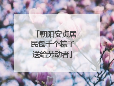 朝阳安贞居民包千个粽子送给劳动者