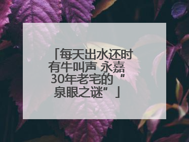 每天出水还时有牛叫声 永嘉30年老宅的“泉眼之谜”