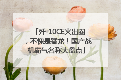 歼-10CE火出圈，不愧是猛龙！国产战机霸气名称大盘点