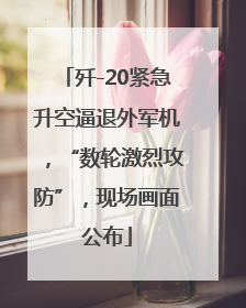歼-20紧急升空逼退外军机，“数轮激烈攻防”，现场画面公布