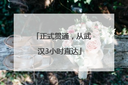 正式贯通，从武汉3小时直达