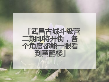 武昌古城斗级营二期即将开街，各个角度都能一眼看到黄鹤楼