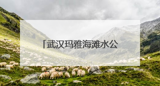 武汉玛雅海滩水公园7日正式开园 后续将推出夏浪音乐节等精彩活动