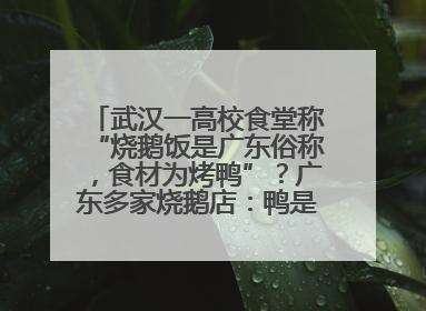 武汉一高校食堂称“烧鹅饭是广东俗称，食材为烤鸭”？广东多家烧鹅店：鸭是鸭鹅是鹅
