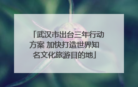 武汉市出台三年行动方案 加快打造世界知名文化旅游目的地