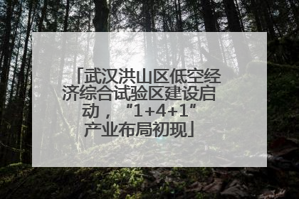 武汉洪山区低空经济综合试验区建设启动，“1+4+1”产业布局初现