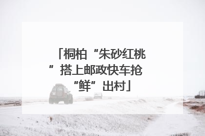 桐柏“朱砂红桃”搭上邮政快车抢“鲜”出村
