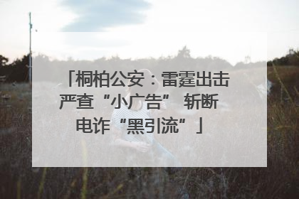 桐柏公安：雷霆出击严查“小广告” 斩断电诈“黑引流”