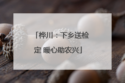 桦川：下乡送检定 暖心助农兴