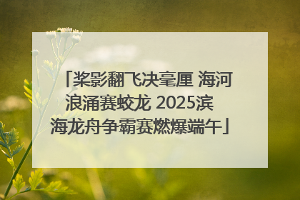 桨影翻飞决毫厘 海河浪涌赛蛟龙 2025滨海龙舟争霸赛燃爆端午