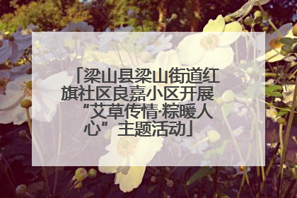 梁山县梁山街道红旗社区良嘉小区开展“艾草传情·粽暖人心”主题活动