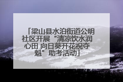 梁山县水泊街道公明社区开展“清凉饮水润心田 向日葵开花祝夺魁”助考活动
