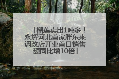 榴莲卖出1吨多！永辉河北首家胖东来调改店开业首日销售额同比增10倍