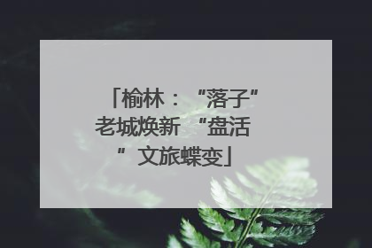 榆林：“落子”老城焕新 “盘活”文旅蝶变