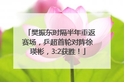 樊振东时隔半年重返赛场，乒超首轮对阵徐瑛彬，3:2获胜！