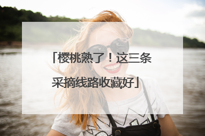 樱桃熟了！这三条采摘线路收藏好