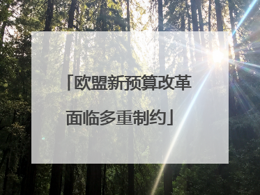 欧盟新预算改革面临多重制约