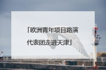 欧洲青年项目路演代表团走进天津