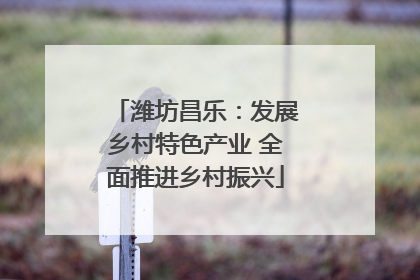 潍坊昌乐：发展乡村特色产业 全面推进乡村振兴