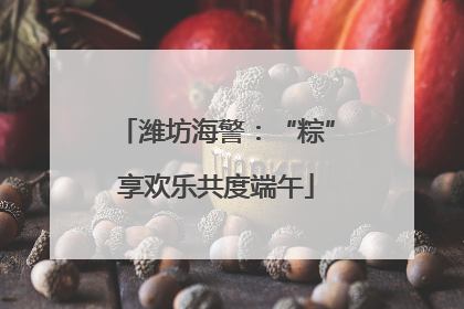 潍坊海警：“粽”享欢乐共度端午