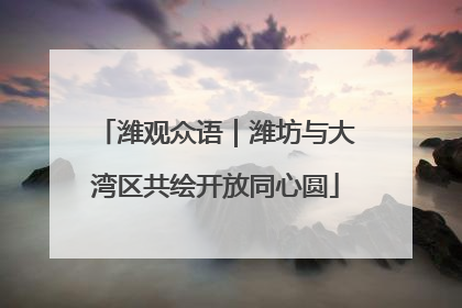 潍观众语｜潍坊与大湾区共绘开放同心圆