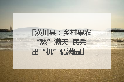 潢川县：乡村果农“愁”满天  民兵出“机”情满园