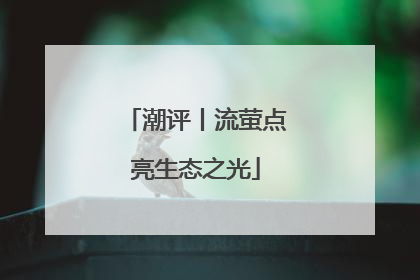 潮评丨流萤点亮生态之光