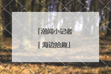 潮闻小记者｜海边拾趣