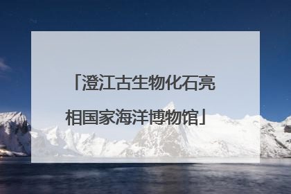澄江古生物化石亮相国家海洋博物馆