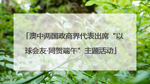 澳中两国政商界代表出席“以球会友·同贺端午”主题活动