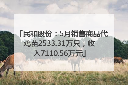 民和股份：5月销售商品代鸡苗2533.31万只，收入7110.56万元
