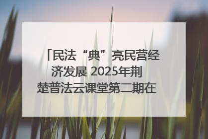 民法“典”亮民营经济发展 2025年荆楚普法云课堂第二期在武汉客厅开讲