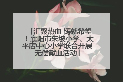 汇聚热血 铸就希望！襄阳市朱坡小学、太平店中心小学联合开展无偿献血活动