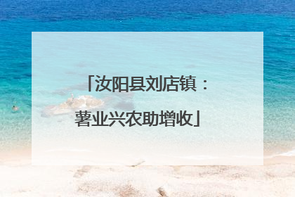 汝阳县刘店镇：薯业兴农助增收