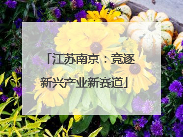 江苏南京：竞逐新兴产业新赛道