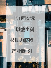 江西安远：以数字科技助力脐橙产业腾飞