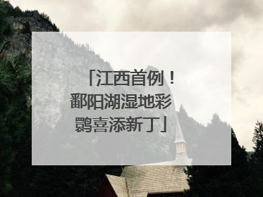 江西首例！鄱阳湖湿地彩鹮喜添新丁