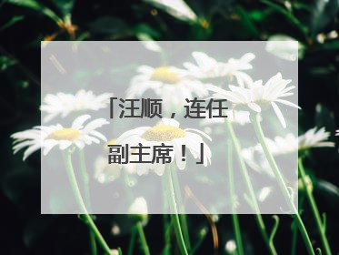 汪顺，连任副主席！